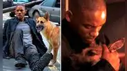 “Soy leyenda”: ¿qué pasó con Sam, la perrita de Will Smith?