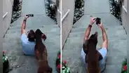 Cámara de seguridad registró uno de los últimos momentos que vivió un joven junto a su perrita