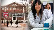 ¿Cómo postular a Harvard y estudiar un posgrado gratis con una beca de Pronabec?