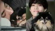 Taehyung de BTS: ¿cuándo fue el cumpleaños de Yeontan y qué proyectos realizó ARMY?