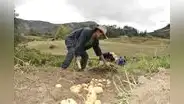 Gobierno dirige S/1.100 millones para la reactivación del agro