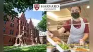 Harvard: ¿cuánto cuesta y qué sirven en el comedor de una de las mejores universidades del mundo?