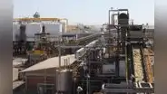 Proponen facilidades tributarias para creación de plantas petroquímicas de urea y fertilizantes
