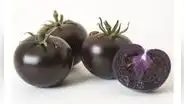 Tomate morado, el alimento creado con ingeniería genética que ya está aprobado en EE. UU.