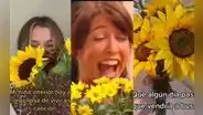 Flores amarillas: ¿qué significan y por qué se regalan en septiembre?