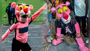 ¿Cuánto cobra la ‘Pantera del Callao’ para ir a una fiesta de cumpleaños o evento?