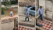 Recoge a su perrita del parque porque ‘coqueteaba’ con otros animales y escena se hace viral
