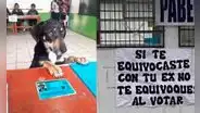 Elecciones 2022: los mejores memes de la última contienda electoral