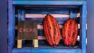 Exportaciones de cacao y chocolate peruano superaron los US$ 192 millones hasta julio