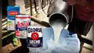 Ganaderos optan por vender leche fresca a Nestlé y Laive porque Gloria les bajó el precio