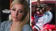 Paris Hilton contrató a 7 psíquicos de mascotas para encontrar a su perro desaparecido