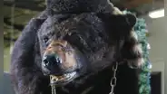 Pablo EskoBear: realizarán película sobre historia real de oso que murió por sobredosis de cocaína