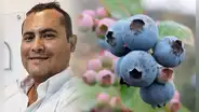 ¿Quién es Carlos Gereda, el ingeniero que convirtió a Perú en el primer exportador de arándanos del mundo?