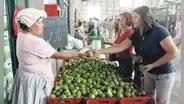 Limón llega a S/8 el kilo en mercados de Lima metropolitana