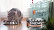 Indecopi ordena a Ricocat retirar del mercado producto cuyo etiquetado induce al error