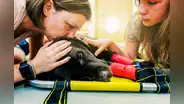 ¿Qué debes hacer durante los últimos momentos de vida de tu perro?