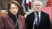 Gladys Echaíz: “Los miembros de la OEA no están informados de lo que pasa en cada país”