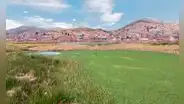 Lago Titicaca en riesgo de convertirse en una inmensa lenteja verde