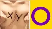 Día de la Conciencia para la Comunidad Intersexual: ¿por qué se celebra este 26 de octubre y cuál es su importancia?