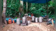 Extensión de cultivos de hoja de coca para narcotráfico subió 18%