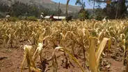 Sequías e inundaciones le cuestan al Perú hasta US$13.400 millones al año, según el Banco Mundial