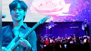 The Rose: 2 conciertos de ensueño en un campo de rosas
