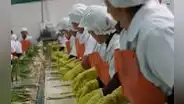 Perú se destaca por su prudencia fiscal y manejo de niveles de deuda, según el BID