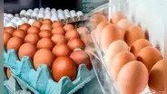 ¿Por qué nunca debes guardar los huevos en la puerta del refrigerador?