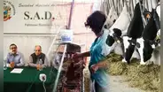 Producción de carne de pollo en riesgo por bloqueos que impiden ingreso de productos de Bolivia