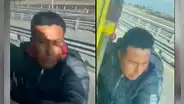 Intentó robar en un bus, pero chofer aceleró y ladrón quedó atrapado en la ventana al huir