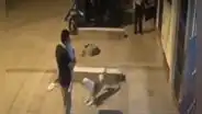 La Victoria: perro atacó a padre de familia y a su menor hija en brazos