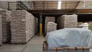 Chiclayo: más de 50 toneladas de alimentos para pacientes con TBC infestados de gorgojos