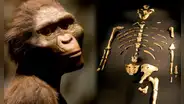 La historia de Lucy: ¿por qué es considerada el fósil que reescribió la evolución humana?