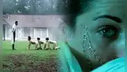'El ciempiés humano': ¿cuál fue el crimen real que inspiró la película? Esta es la terrible verdad