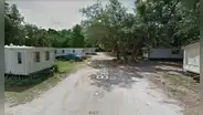 Mujer creyó oír maullidos de gatos en el bosque, pero encontró a recién nacida abandonada