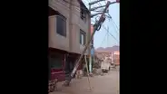 Independencia: denuncian que poste de luz a punto de caer es sostenido solo por cables y un palo