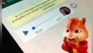WhatsApp: ¿cómo enviar audios a tus amigos con 'voz de ardilla'? Aquí te diremos