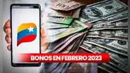 Sistema Patria: ¿qué bonos serían entregados en febrero 2023?