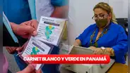 Carnet verde en Panamá: ¿qué requisitos debo cumplir para obtenerlo?