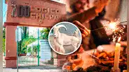 Denuncian a zoológico por sacrificar 4 cabras y comérselas en fiesta de Año Nuevo en México