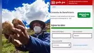 Bono Wanuchay 2023: LINK para consultar con DNI si eres beneficiario del subsidio agrario, vía Midagri