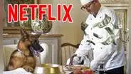 “Gunther, el perro millonario” en Netflix: ¿por qué un pastor alemán tiene US$400 millones?
