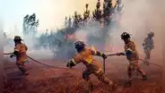 Incendios forestales en Chile: al menos 4 personas mueren en medio de “estado de catástrofe”