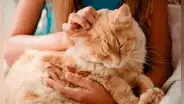 Joven de 17 años es salvada por su gato tras sufrir convulsiones por epilepsia