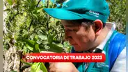 ¿Acabaste la secundaria? Senasa lanza convocatoria de trabajo con sueldos entre S/1.025 y S/6.500