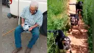 Rescatan a hombre de 103 años de incendio en Chile, pero sus perros no logran escapar