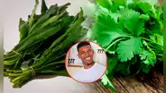 ¿En qué se diferencian el cilantro y el culantro, y cuál es la que suele ser confundida con el perejil?