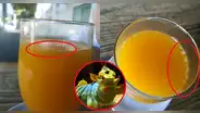 Joven pidió un zumo de naranja en el bar y terminó horrorizada: "Fibra y proteínas por solo €2,5"