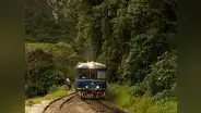 Perú Rail se niega a brindar servicio de tren humanitario a pobladores de Machupicchu