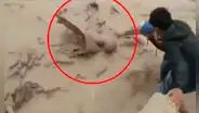 Arequipa: pobladores se aventaron a huaico para salvar a hombre que era arrastrado por el lodo